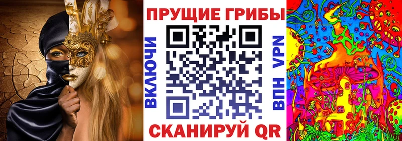Галлюциногенные грибы MAGIC MUSHROOMS Верхняя Пышма
