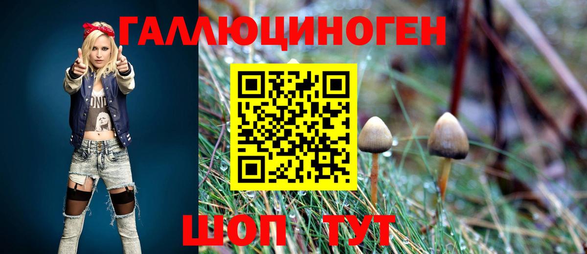 Верхняя Пышма  Псилоцибиновые грибы MAGIC MUSHROOMS  Вход с VPN  купить наркоту  Псилоцибиновые грибы MAGIC MUSHROOMS 