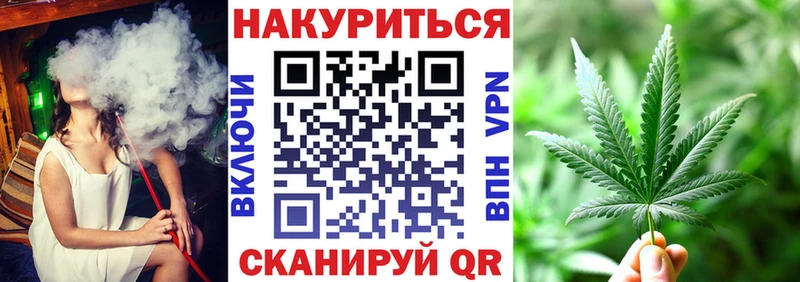 Шишки марихуана сатива  где найти   Верхняя Пышма 